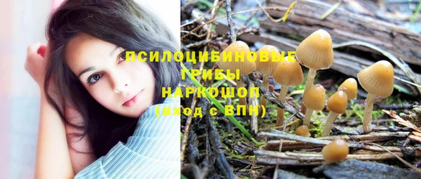Альфа ПВП Пестово